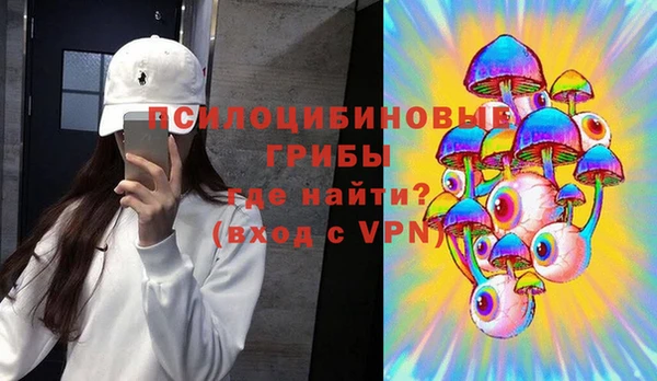 молекула духа Белоозёрский