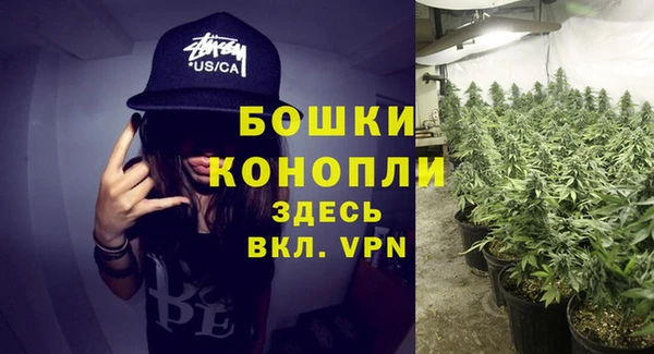 молекула духа Белоозёрский