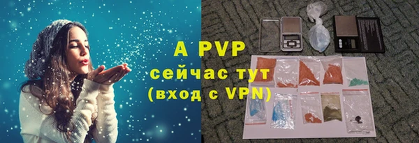 молекула духа Белоозёрский