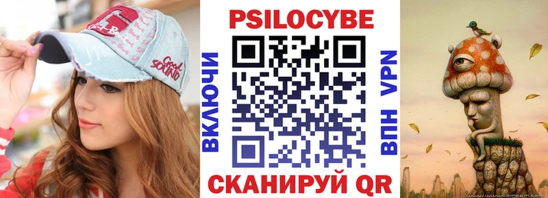 Галлюциногенные грибы Psilocybe  Володарск 
