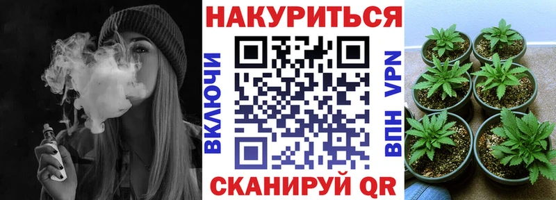 Конопля сатива  Володарск 